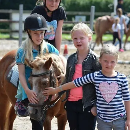 Country Camp Camping De Boshoek