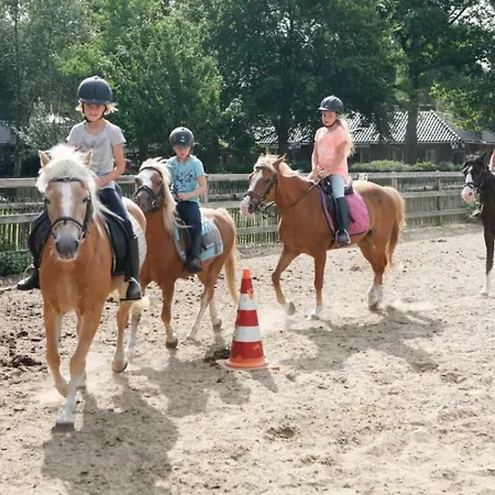 Country Camp Camping De Boshoek *